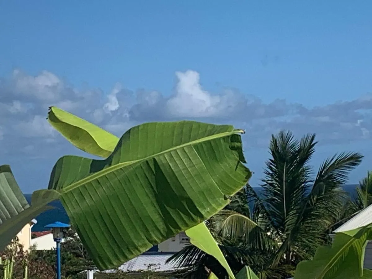 Apartment Bleu Cannelle Et Petimo Le Diamant Martinique