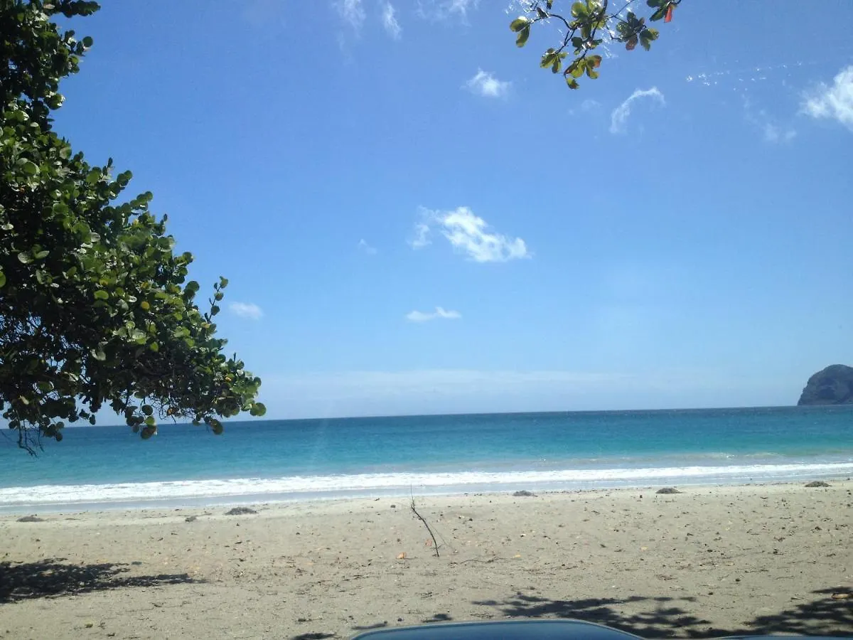 Bleu Cannelle et Petimo Le Diamant 0*,  Martinique