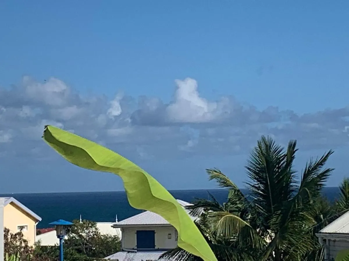 Apartment Bleu Cannelle Et Petimo Le Diamant Martinique